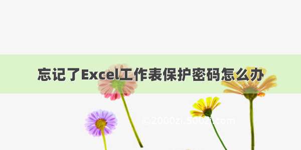 忘记了Excel工作表保护密码怎么办