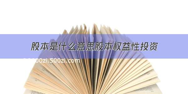 股本是什么意思股本权益性投资