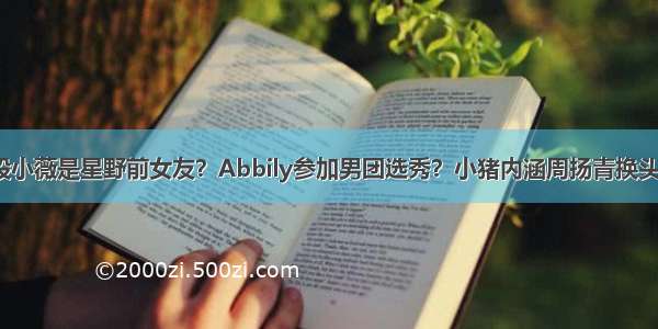 段小薇是星野前女友？Abbily参加男团选秀？小猪内涵周扬青换头？