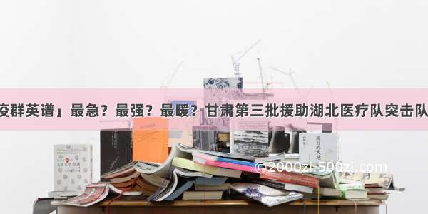 「一线抗疫群英谱」最急？最强？最暖？甘肃第三批援助湖北医疗队突击队的感人故事