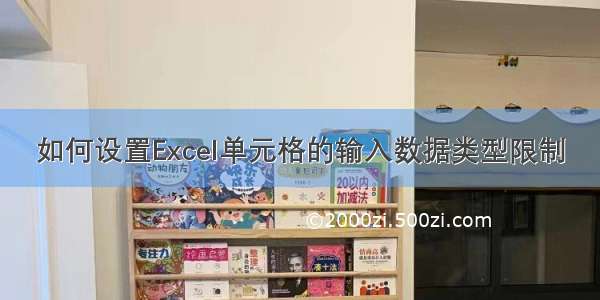 如何设置Excel单元格的输入数据类型限制