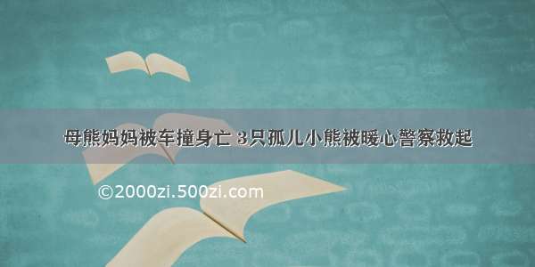 母熊妈妈被车撞身亡 3只孤儿小熊被暖心警察救起