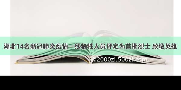 湖北14名新冠肺炎疫情一线牺牲人员评定为首批烈士 致敬英雄