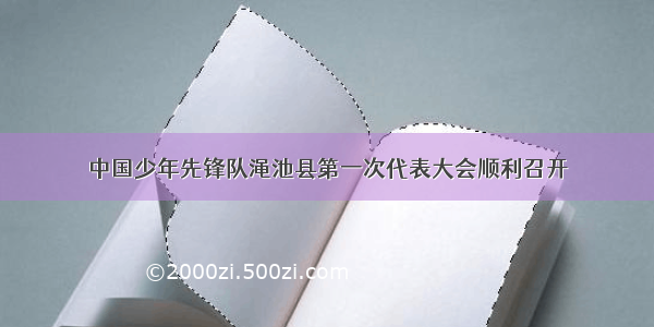 中国少年先锋队渑池县第一次代表大会顺利召开