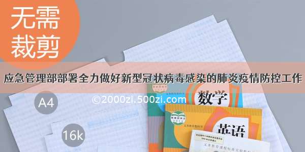 应急管理部部署全力做好新型冠状病毒感染的肺炎疫情防控工作