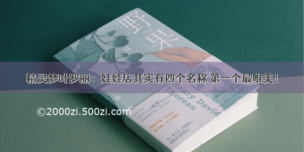 精灵梦叶罗丽：娃娃店其实有四个名称 第一个最唯美！