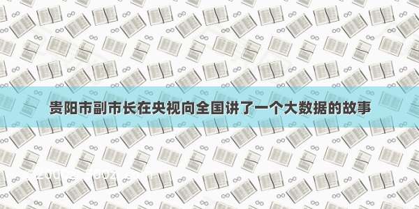 贵阳市副市长在央视向全国讲了一个大数据的故事