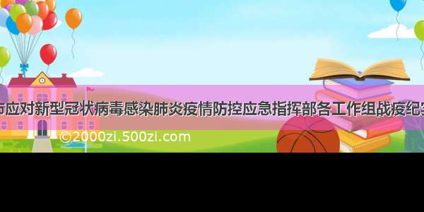 市应对新型冠状病毒感染肺炎疫情防控应急指挥部各工作组战疫纪实