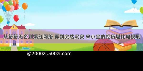 从籍籍无名到爆红网络 再到突然沉寂 宋小宝的经历堪比电视剧