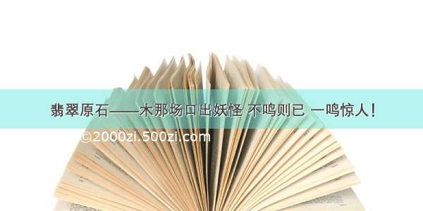 翡翠原石——木那场口出妖怪 不鸣则已 一鸣惊人！