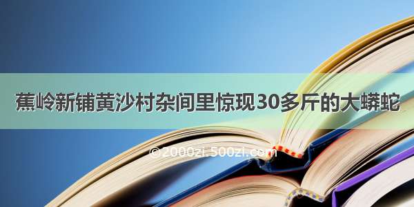 蕉岭新铺黄沙村杂间里惊现30多斤的大蟒蛇