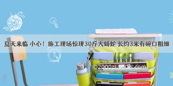 夏天来临 小心！施工现场惊现30斤大蟒蛇 长约3米有碗口粗细