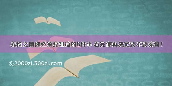 养狗之前你必须要知道的6件事 看完你再决定要不要养狗！