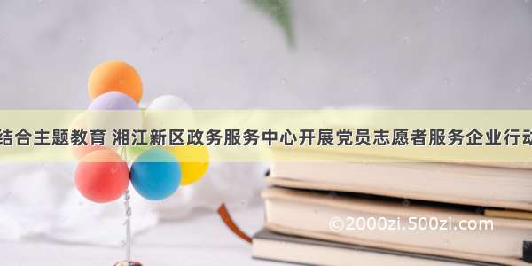 结合主题教育 湘江新区政务服务中心开展党员志愿者服务企业行动