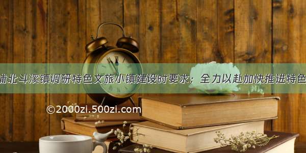 雷绍业在溆浦北斗溪镇调研特色文旅小镇建设时要求：全力以赴加快推进特色小镇建设 为