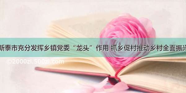 新泰市充分发挥乡镇党委“龙头”作用 抓乡促村推动乡村全面振兴