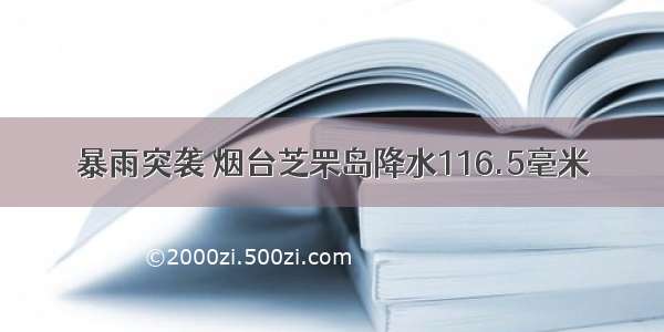 暴雨突袭 烟台芝罘岛降水116.5毫米