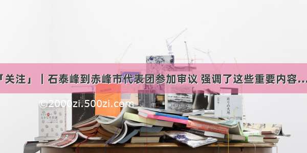 「关注」｜石泰峰到赤峰市代表团参加审议 强调了这些重要内容……