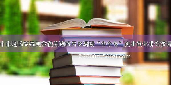 合肥市市场监管局到安徽巢湖经开区调研“小个专”商业街区非公党建工作