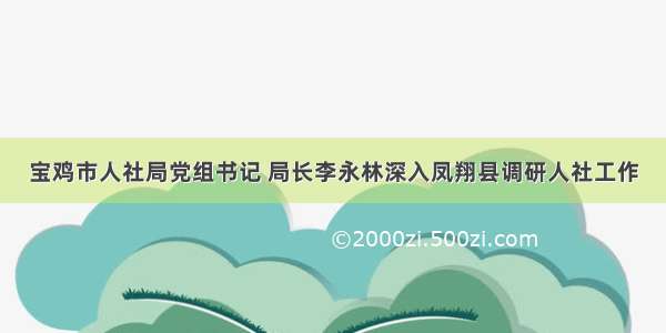 宝鸡市人社局党组书记 局长李永林深入凤翔县调研人社工作