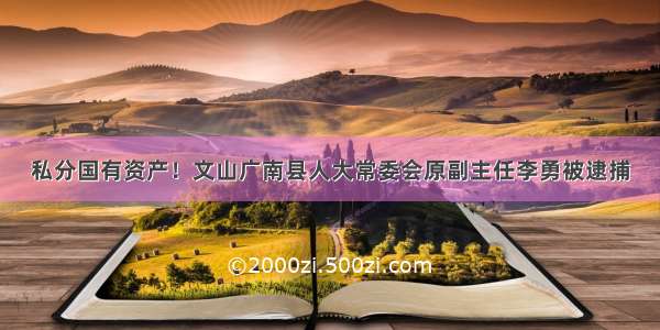 私分国有资产！文山广南县人大常委会原副主任李勇被逮捕