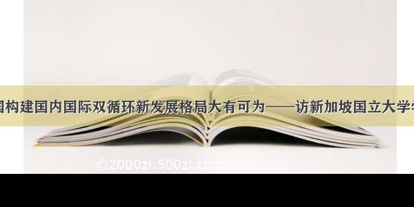 专访：中国构建国内国际双循环新发展格局大有可为——访新加坡国立大学学者顾清扬