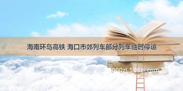 海南环岛高铁 海口市郊列车部分列车临时停运