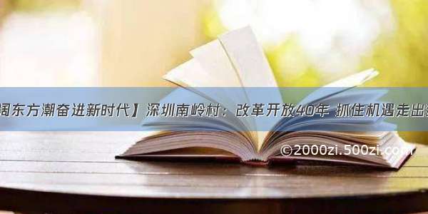 【壮阔东方潮奋进新时代】深圳南岭村：改革开放40年 抓住机遇走出致富路