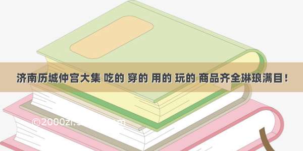 济南历城仲宫大集 吃的 穿的 用的 玩的 商品齐全琳琅满目！