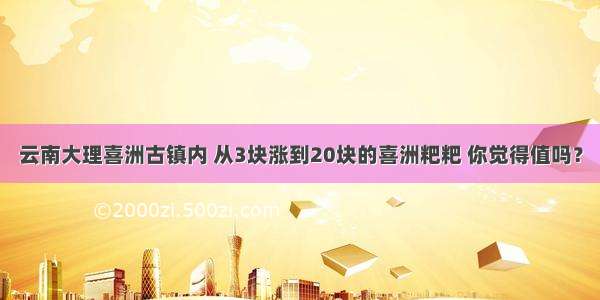 云南大理喜洲古镇内 从3块涨到20块的喜洲粑粑 你觉得值吗？