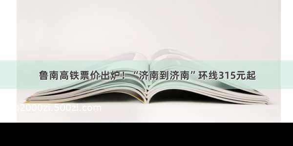 鲁南高铁票价出炉！“济南到济南”环线315元起