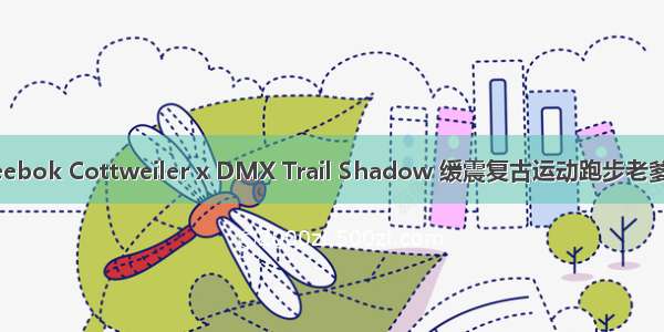 Reebok Cottweiler x DMX Trail Shadow 缓震复古运动跑步老爹鞋