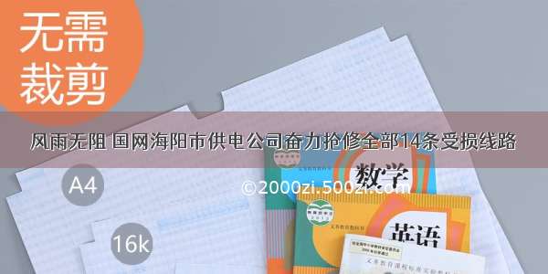 风雨无阻 国网海阳市供电公司奋力抢修全部14条受损线路