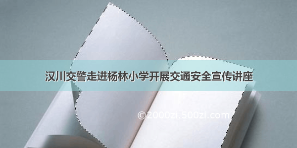 汉川交警走进杨林小学开展交通安全宣传讲座