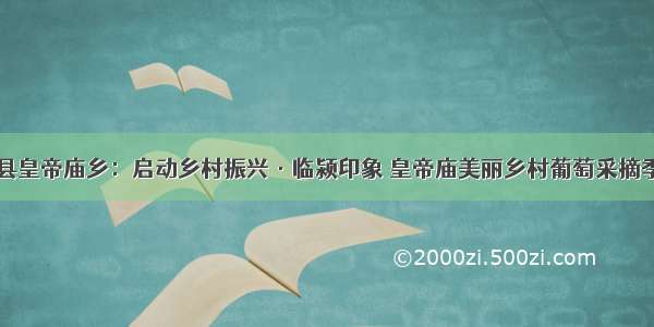 临颍县皇帝庙乡：启动乡村振兴·临颍印象 皇帝庙美丽乡村葡萄采摘季活动