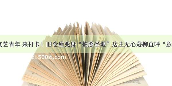 @济南文艺青年 来打卡！旧仓库变身“拍照圣地”店主无心栽柳直呼“意料之外”