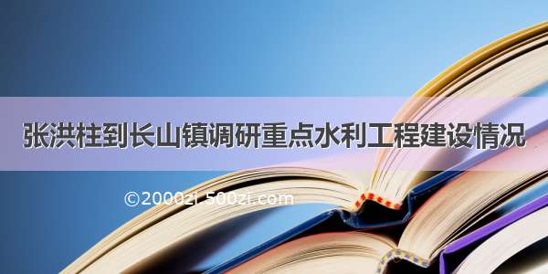 张洪柱到长山镇调研重点水利工程建设情况