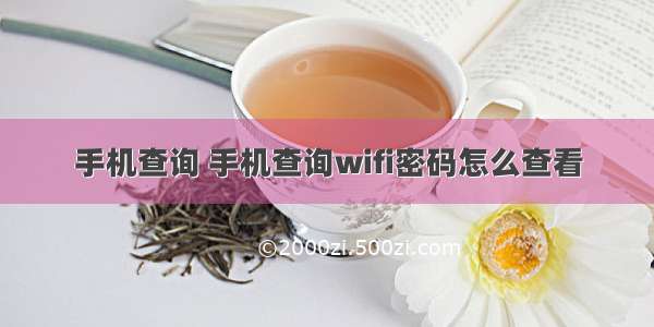 手机查询 手机查询wifi密码怎么查看