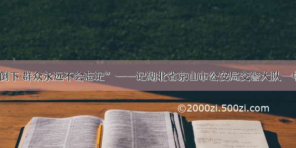 “他为群众倒下 群众永远不会忘记”——记湖北省京山市公安局交警大队一中队副中队长