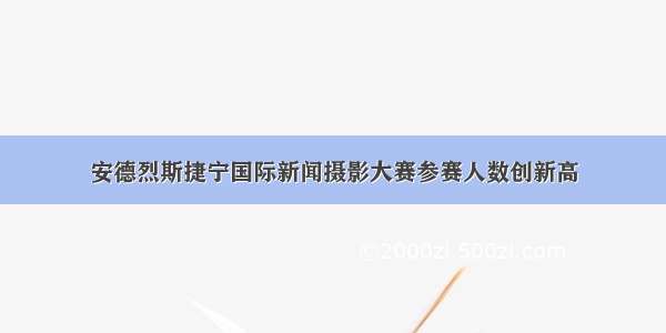 安德烈斯捷宁国际新闻摄影大赛参赛人数创新高