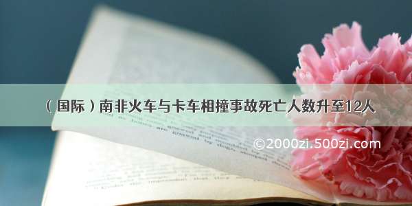 （国际）南非火车与卡车相撞事故死亡人数升至12人