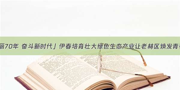 「壮丽70年 奋斗新时代」伊春培育壮大绿色生态产业让老林区焕发青春活力