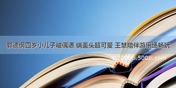 郭德纲四岁小儿子被偶遇 锅盖头超可爱 王慧陪伴游乐场畅玩