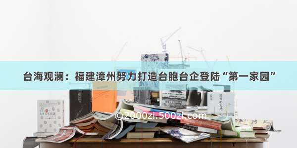 台海观澜：福建漳州努力打造台胞台企登陆“第一家园”
