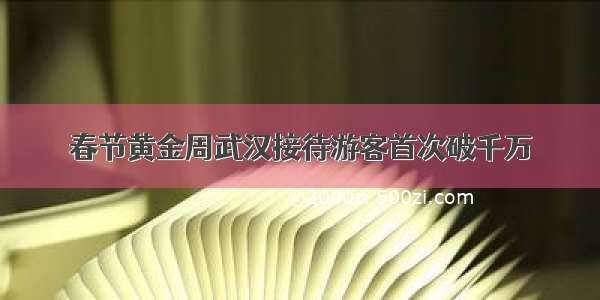 春节黄金周武汉接待游客首次破千万