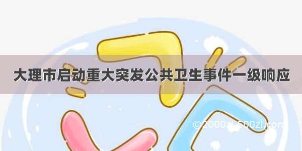 大理市启动重大突发公共卫生事件一级响应