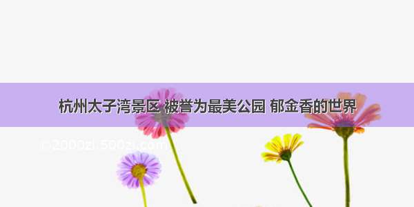 杭州太子湾景区 被誉为最美公园 郁金香的世界