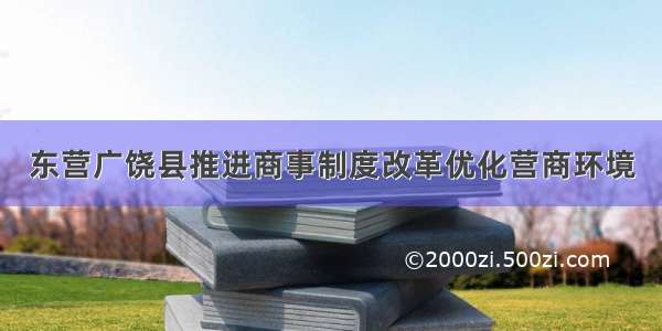 东营广饶县推进商事制度改革优化营商环境