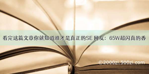 看完这篇文章你就知道谁才是真正的SE 网友：65W超闪真的香