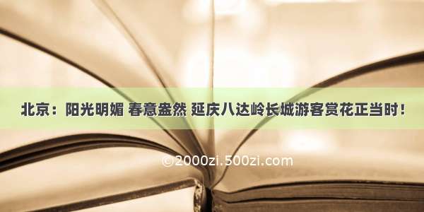 北京：阳光明媚 春意盎然 延庆八达岭长城游客赏花正当时！